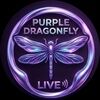 p_dragonflylive